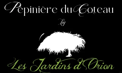 Logo P&eacute;pini&egrave;res du Coteau - Partenaire de Mont Jardin &agrave; Th&ocirc;nes