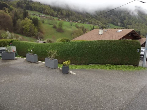 Taille au taille haie