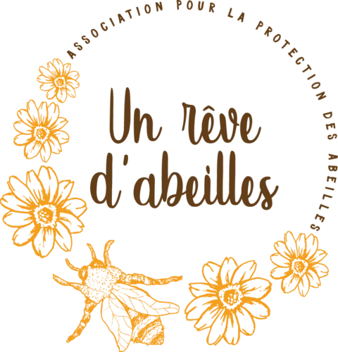 Association un reve d abeilles a24a5dd71d20434a99a16726f3dfb8f8