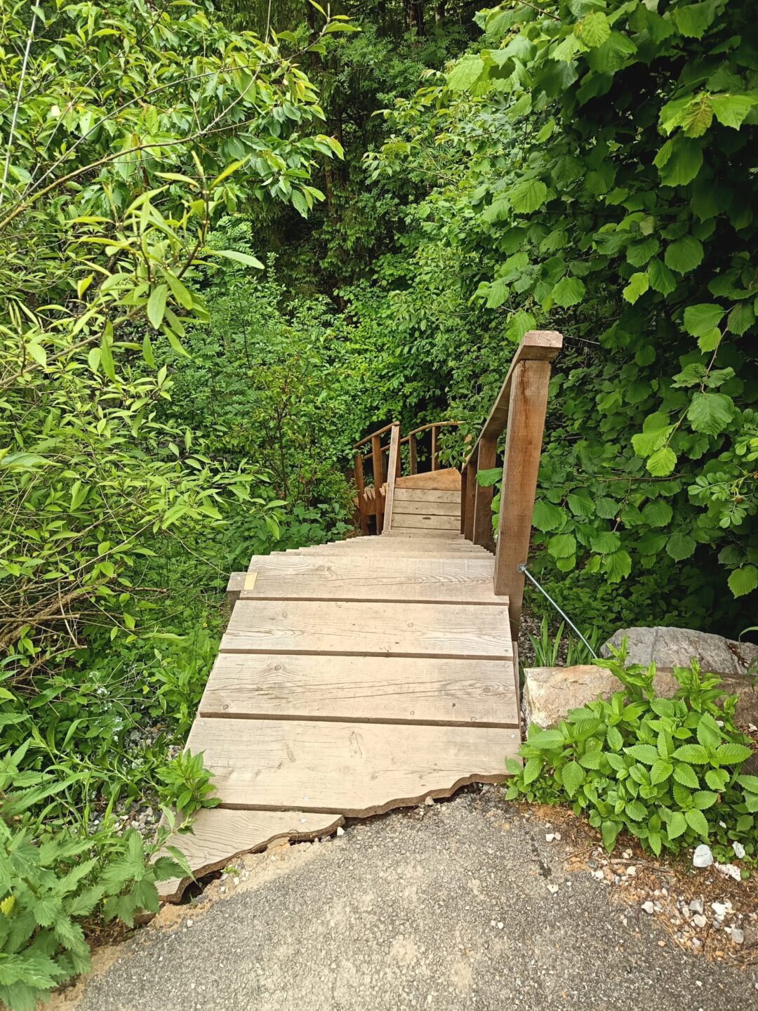 Cr&eacute;ation escaliers en bois