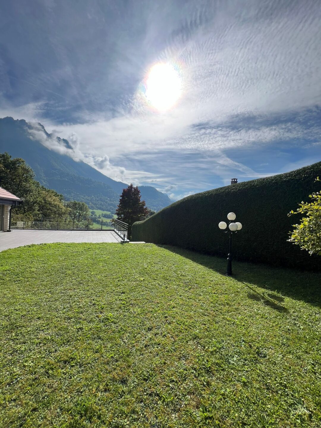 Entretien taille + tonte